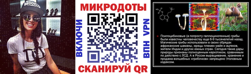 Галлюциногенные грибы Psilocybe  Купить закладки  Верхняя Пышма 